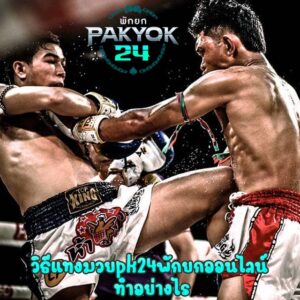 PK24พักยก