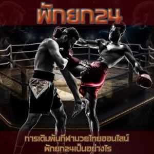 พักยก24